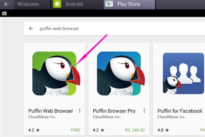 Puffin web browser for pc